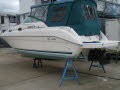 SeaRay 250 Sundancer-Bild2